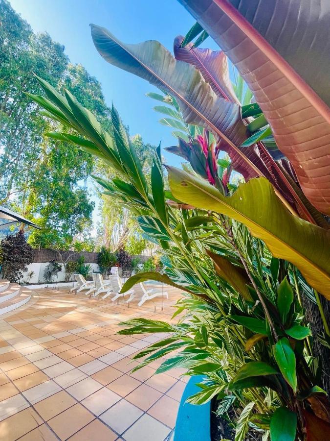 Beachview Apartments At Villa Paradiso Palm Cove Buitenkant foto