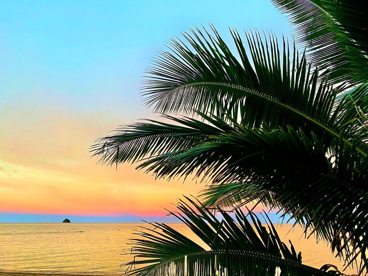 Beachview Apartments At Villa Paradiso Palm Cove Buitenkant foto